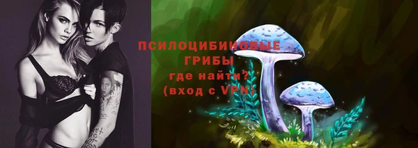 хмурый Майский