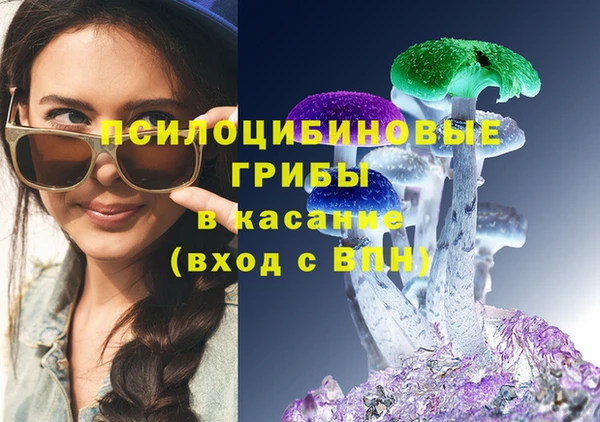 бошки Лиски