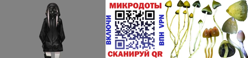 наркота  Суровикино  Псилоцибиновые грибы MAGIC MUSHROOMS 